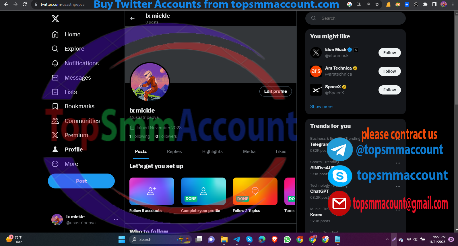 buy twitter accounts from topsmmaccount